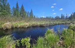 109 Offerman Road, Crystal Falls, MI 49920
