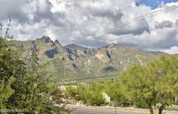 6651 N Campbell Avenue, Tucson, AZ 85718