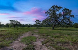 TBD 2839 Schoenst Road, Carmine, TX 78932