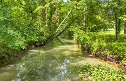 575 W Nickajack Road, Ringgold, GA 30736