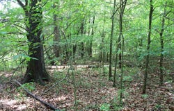 426, Dardanelle, AR 72834