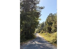 Parcel 2 Haglersville Rd, MANSFIELD, TN 38236