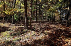 Chestnut Street W, Wurtsboro, NY 12790