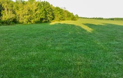 1 County Road 2660, Pomona, MO 65789