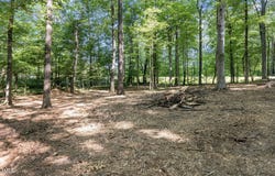 Lot 3 Helena Moriah Road, Timberlake, NC 27583