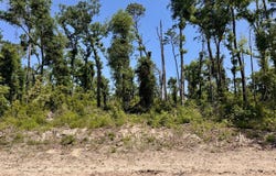 41&42 237TH ROAD, Live Oak, FL 32060