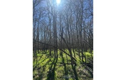 289 Iva LN, Bastrop, TX 78602