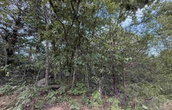0 Big Buck Lane, Williford, AR 72482