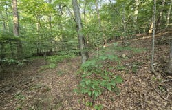 00 Meadors Mill RD, Bedford, VA 24523