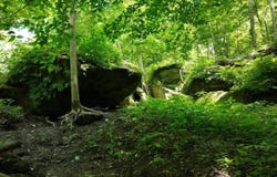 5579 Falls of Rough Road, Caneyville, KY 42721