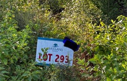 lot 293 TIMBERLINE DR, Hillister, TX 77624