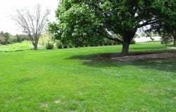 1885 Hwy 3, Cherokee, IA 51012