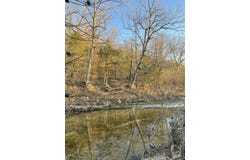Tract 2 County Road 14-534, Ava, MO 65608