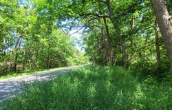 0 W Fruitvale Rd Road, Montague, MI 49437