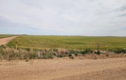 Wiggins, CO 80654