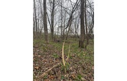 000 Old River Road, Zalma, MO 63787