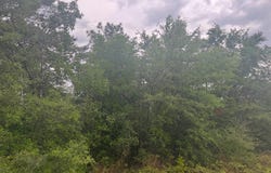 Lot 5 Round Table Road, DeFuniak Springs, FL 32433