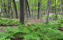 Garden Dr, Siren, WI 54872