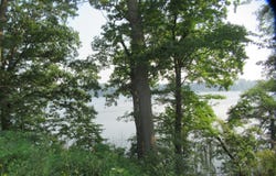 12161 Bair Lake Street, Jones, MI 49061