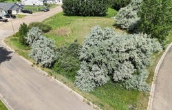 Lot 1 & 2 Niehenke & 3rd ST NW, Sidney, MT 59270