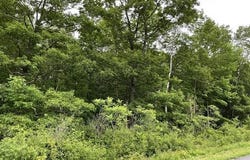 15 Acres RICHFIELD DRIVE, Arpin, WI 54410