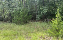 1061 Myrtle Drive, Santee, SC 29142