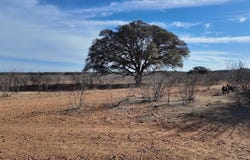 CR 434, Rochelle, TX 76872