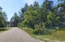Norseman Drive lot: 8, Grayling, MI 49738