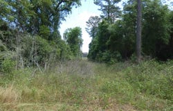W Washington, Monticello, FL 32344