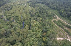 97.83 Acres-TBD Sugar Hill Fox Rd., Pamplico, SC 29583
