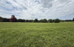110 Thomasville Road, Buffalo, MO 65622