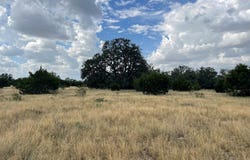 County Rd 220, Eldorado, TX 76936