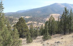 0 Cougar Ridge Road, Canyon City, OR 97820