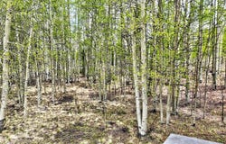 120 PUMA COURT, Como, CO 80432