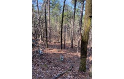 T01S-R15E Kiamichi Wildernes, Daisy, OK 74523