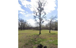 48041 Sam Martin Rd, Saint Amant, LA 70774