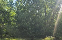 0002 M-66 SE, Fife Lake, MI 49633