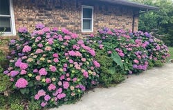 1082 Gaines Creek Loop, Eufaula, OK 74432
