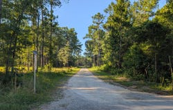 2006 Becca Lane, McClellanville, SC 29458