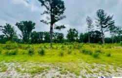 0000 Santa Anita Road, Cheraw, SC 29520