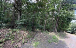 Greentree Road, Clinton, AR 72032