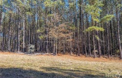 Tignall, GA 30668