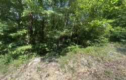 Lot 28 Rock Springs Road, Celina, TN 38551