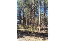 Drews Road, Beatty, OR 97621