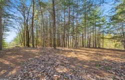 0 Eagle Ridge, Cleveland, GA 30528