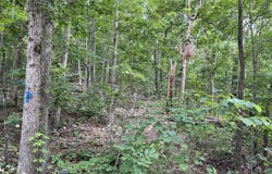 Lot 45 Pr Ridge Haven, Mammoth Spring, MO 72554