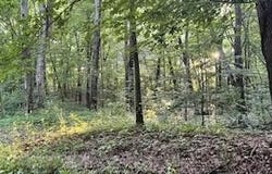 5565 Romeyn Woods, Middleville, MI 49333