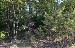 Tract A MC 5056, Everton, AR 72633