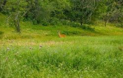 1884 County Road 319, Cleburne, TX 76033