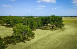 95 Loma LN, Fredericksburg, TX 78624